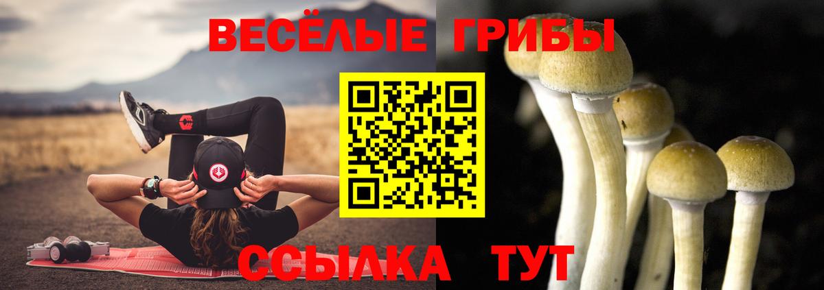 Галлюциногенные грибы MAGIC MUSHROOMS  Вход с VPN  Ленинск-Кузнецкий 
